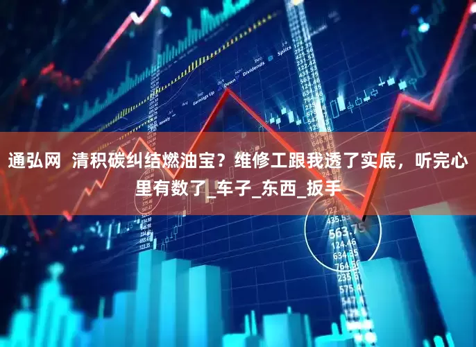 通弘网  清积碳纠结燃油宝？维修工跟我透了实底，听完心里有数了_车子_东西_扳手