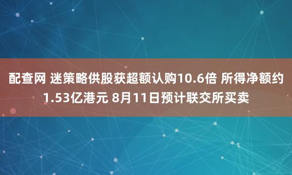 配查网 迷策略供股获超额认购10.6倍 所得净额约1.53亿港元 8月11日预计联交所买卖