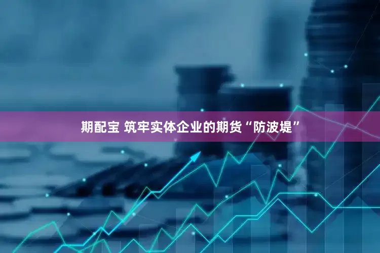 期配宝 筑牢实体企业的期货“防波堤”