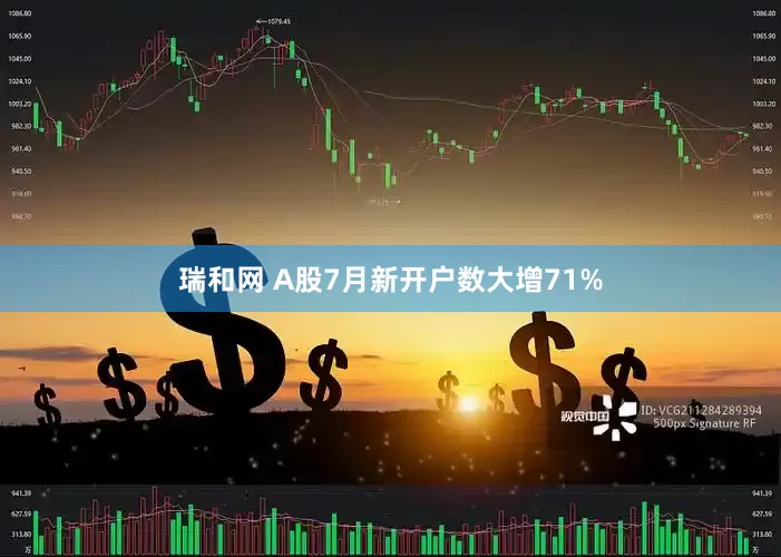 瑞和网 A股7月新开户数大增71%